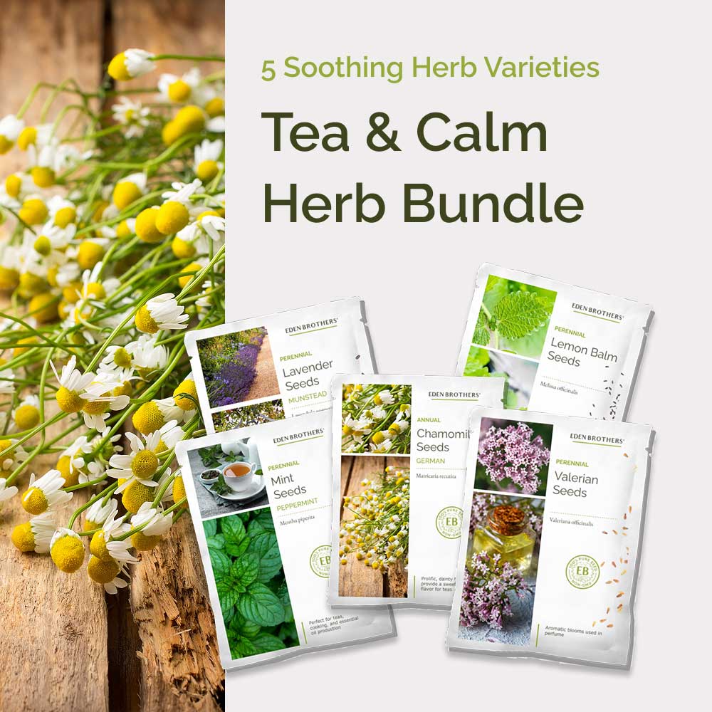 New Herb Seeds